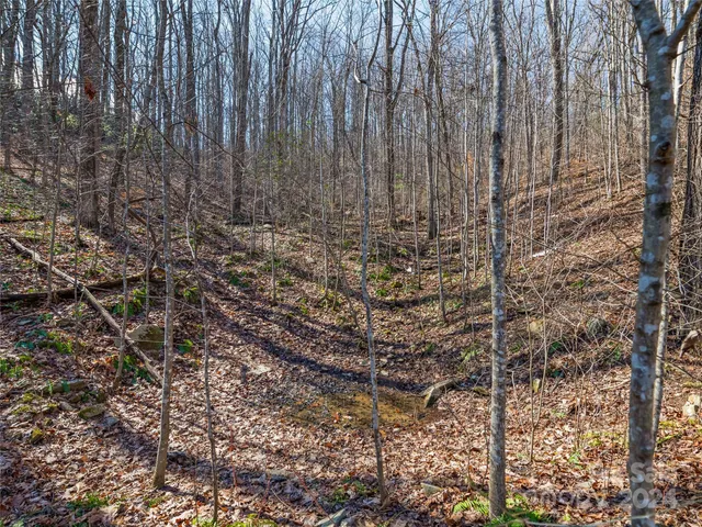 $55,000 | 99999 Propst Road, Candler, NC 28715