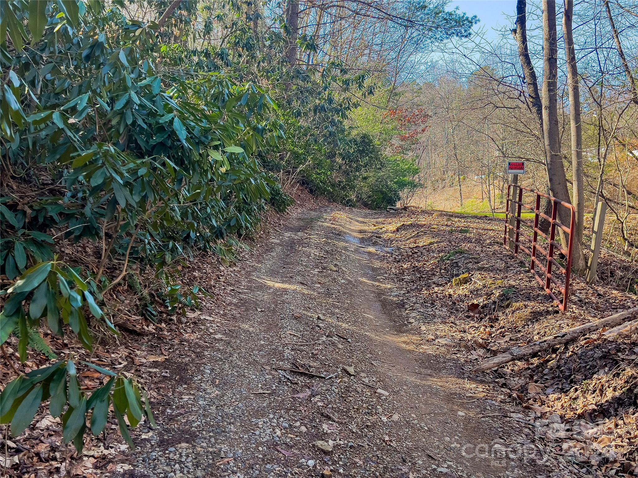 99999 Propst Road Candler, NC 28715 - Photo 5 of 32