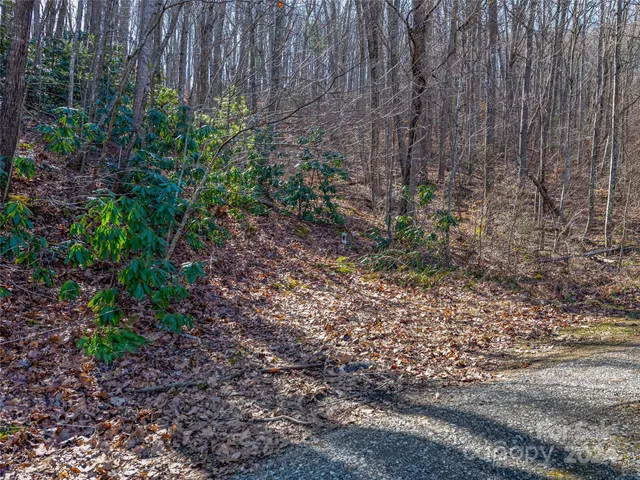 $55,000 | 99999 Propst Road, Candler, NC 28715