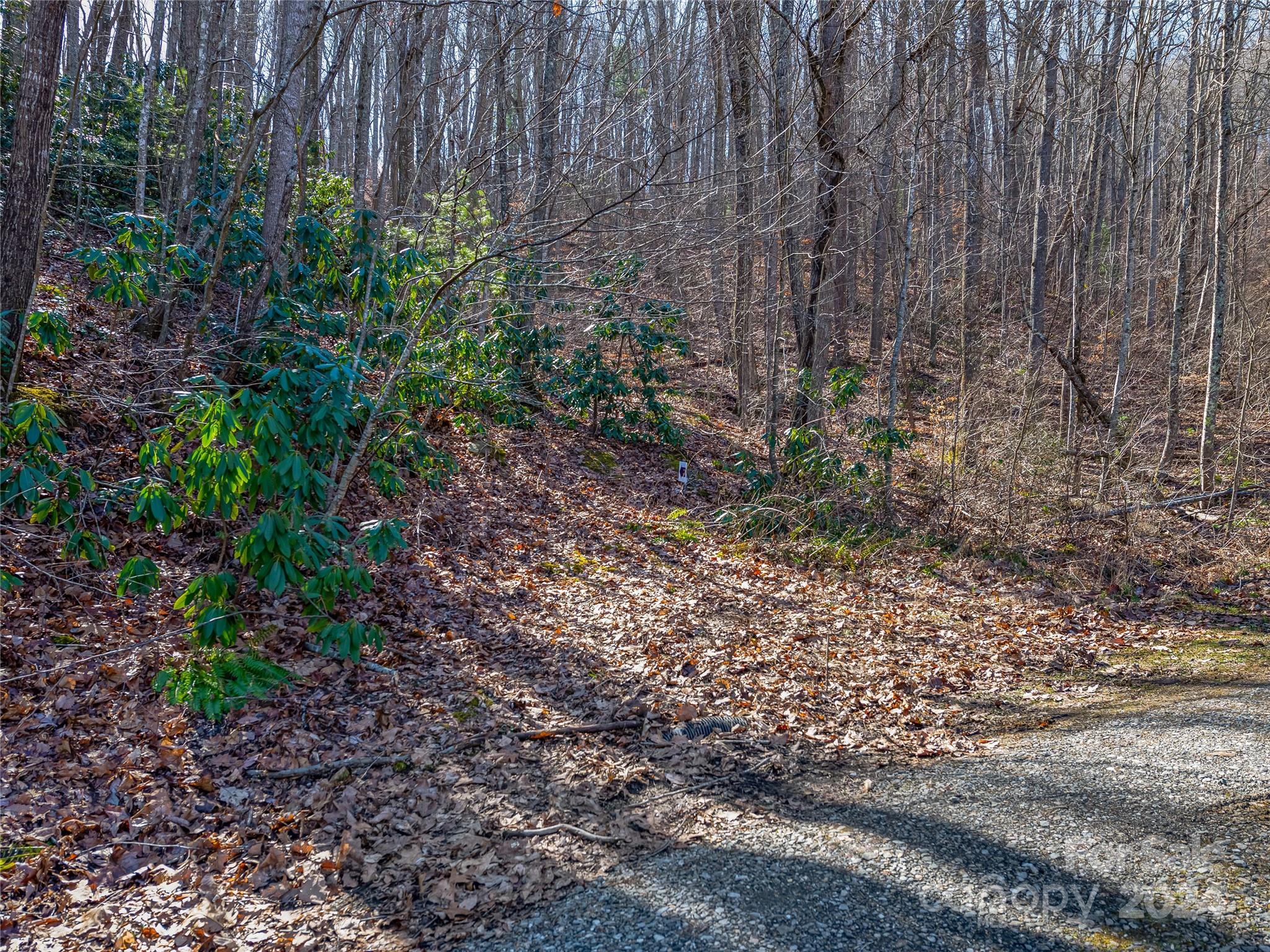 99999 Propst Road Candler, NC 28715 - Photo 7 of 32