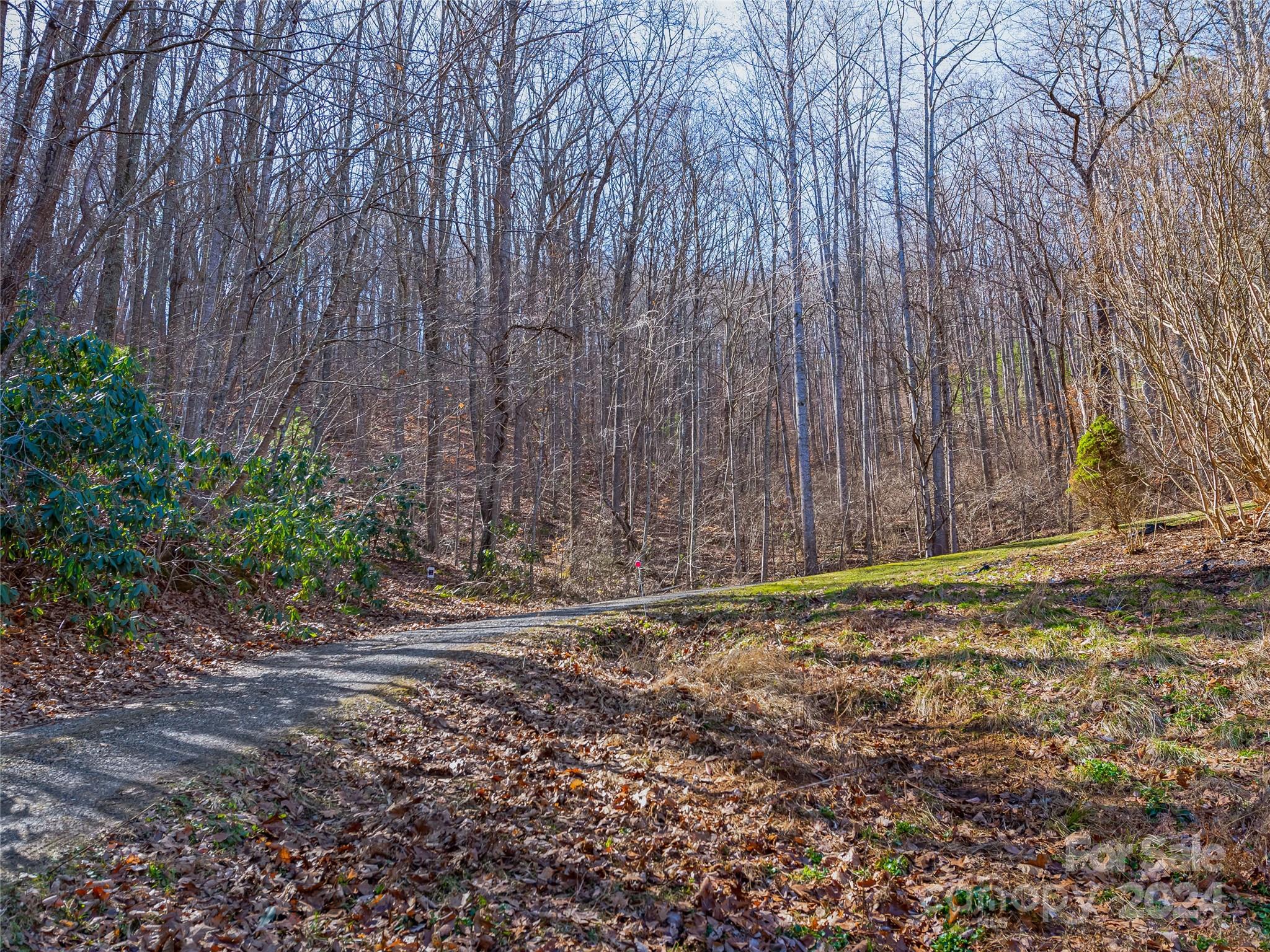 99999 Propst Road Candler, NC 28715 - Photo 8 of 32