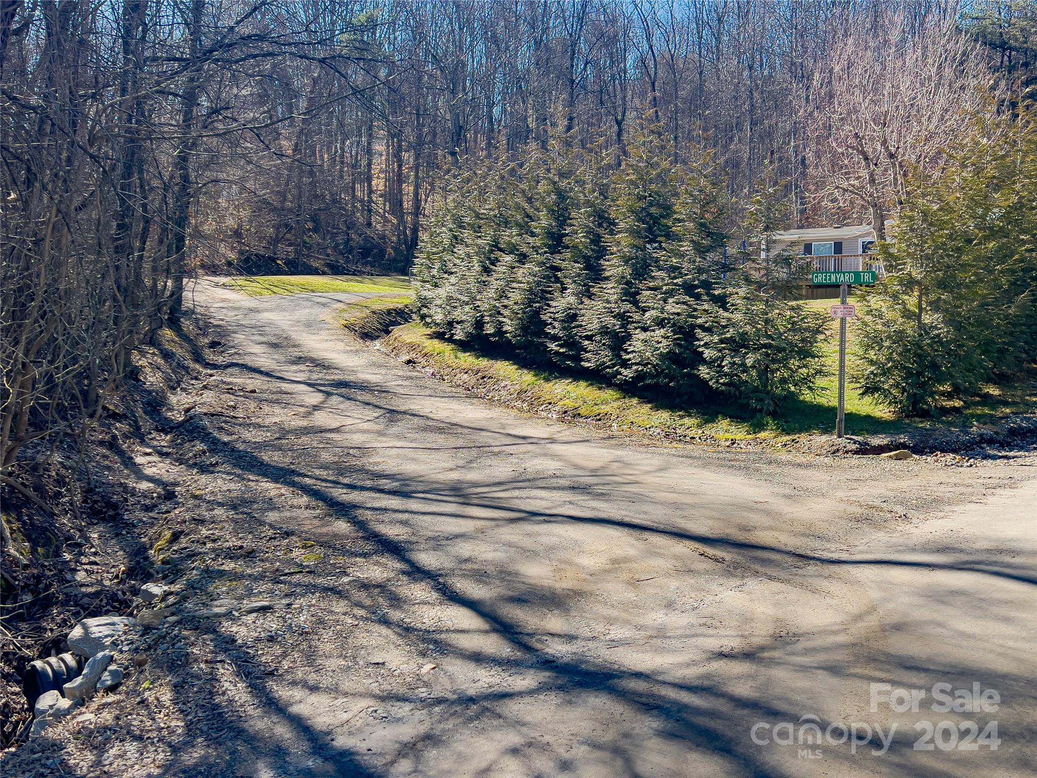 99999 Propst Road Candler, NC 28715 - Photo 9 of 32