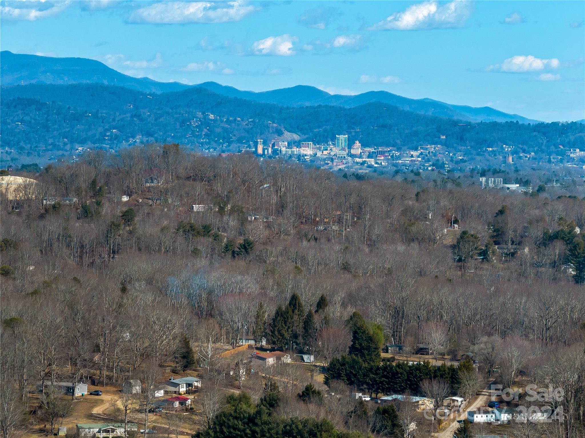 99999 Propst Road Candler, NC 28715 - Photo 10 of 32