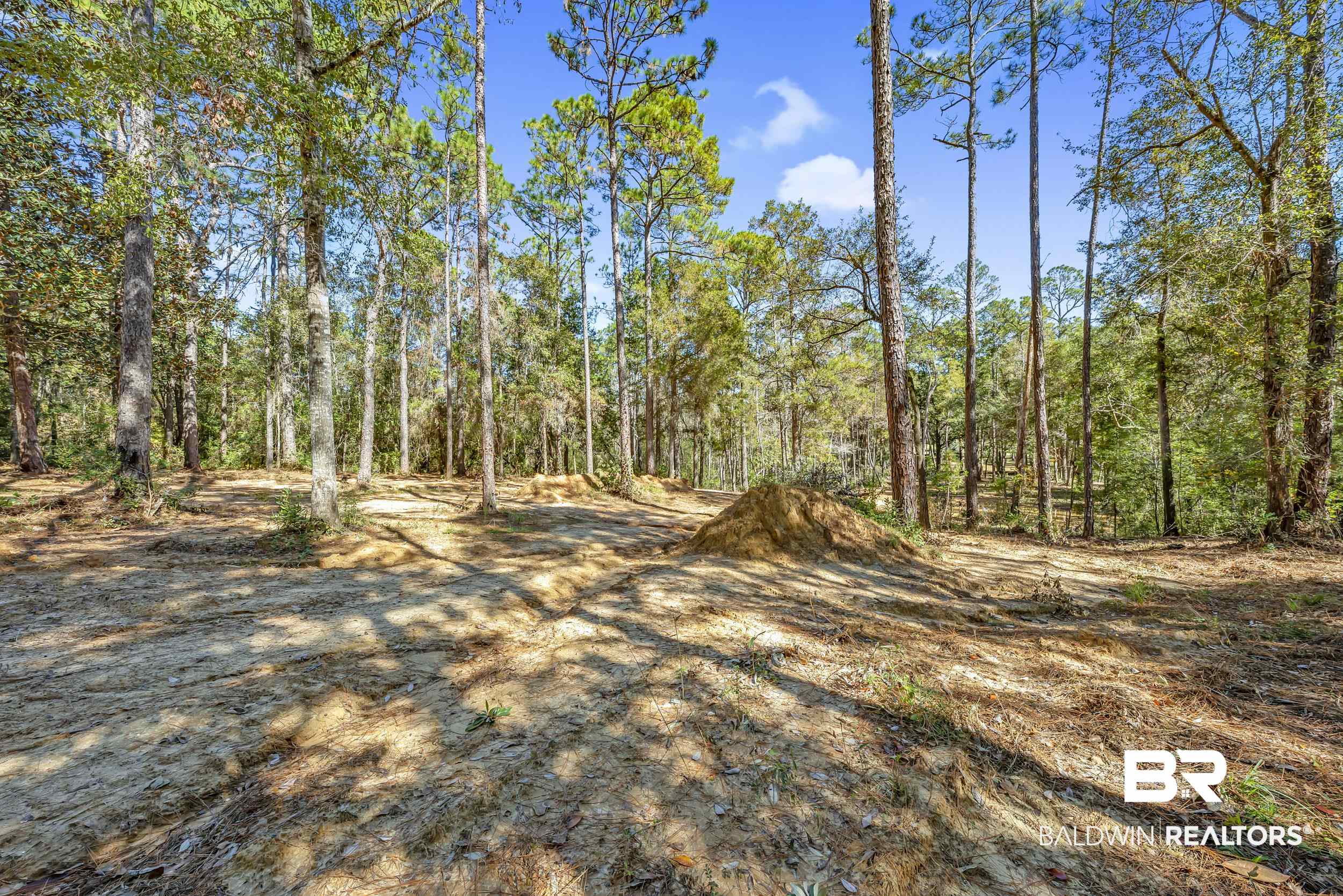11010 Coleman Lane Elberta, AL 36530 - Photo 10 of 23