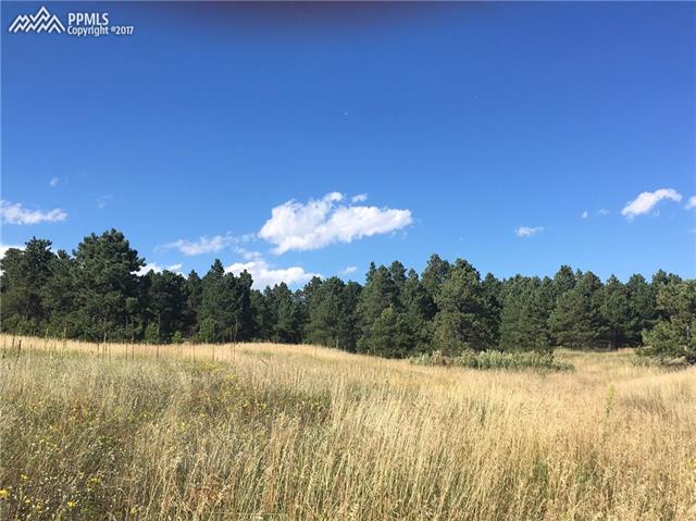 Tbd Spring Valley Drive Colorado Springs, CO 80921 - Photo 4 of 6 Nicely Treed in Areas!