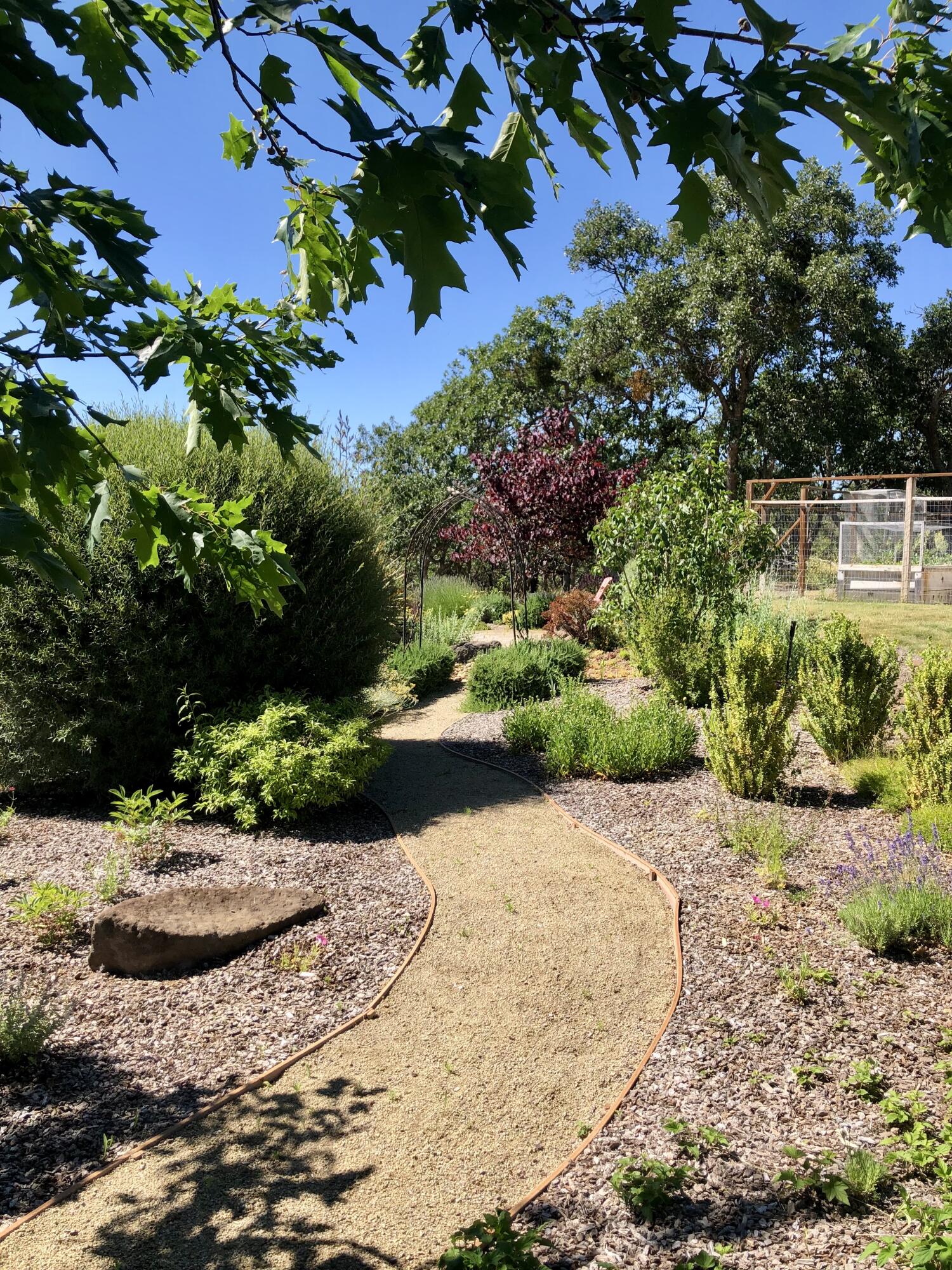 1275 Neil Creek Road Ashland, OR 97520 - Photo 31 of 52 Yard