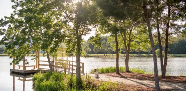 $450,586 | 1207 Carnes Crossing Boulevard, Summerville, SC 29486