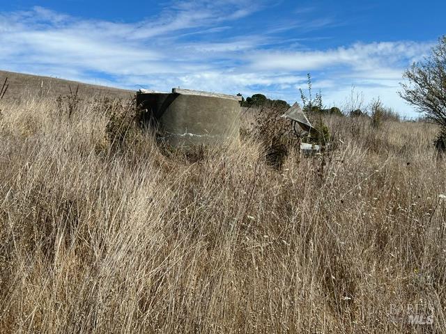 330 Valley Ford Freestone Road Sebastopol, CA 95472 - Photo 6 of 21 Gallery Image 6