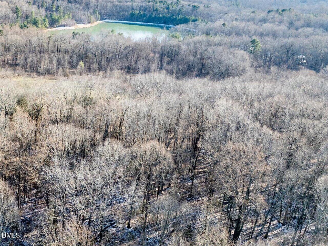 2340 Bowers Store Road Siler City, NC 27344 - Photo 7 of 15 07-043-2310BowersStoreRd-Tract-03-202601