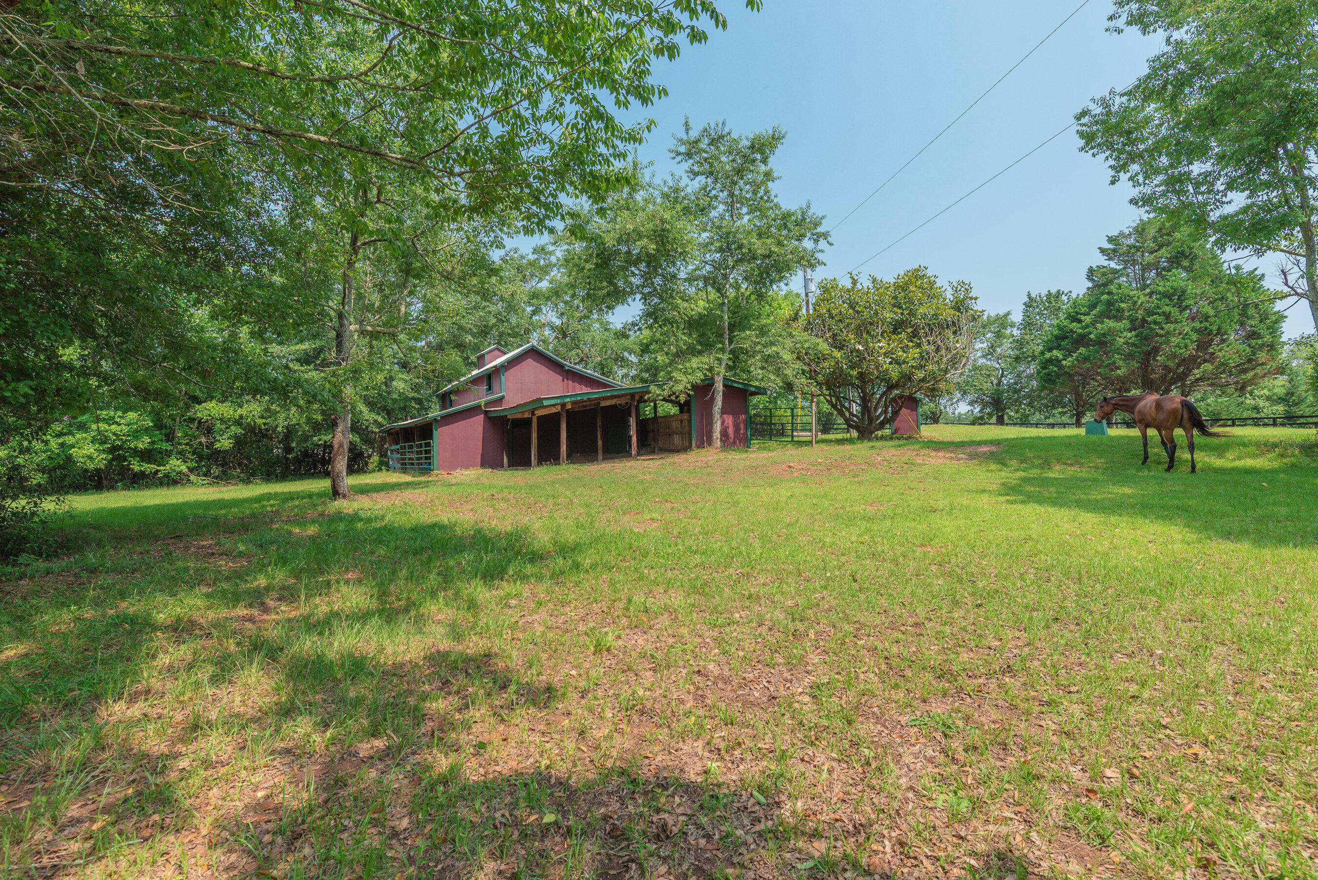 148 Derrick Road Trenton, SC 29847 - Photo 49 of 58