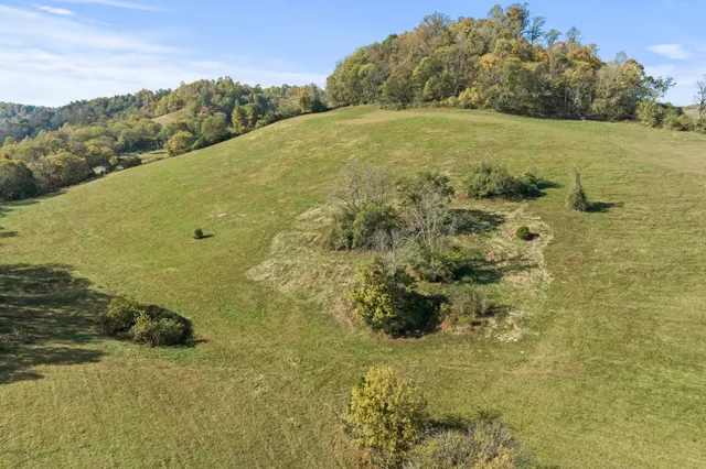 $1,000,000 | 11528 Dodson Branch Highway, Gainesboro, TN 38562