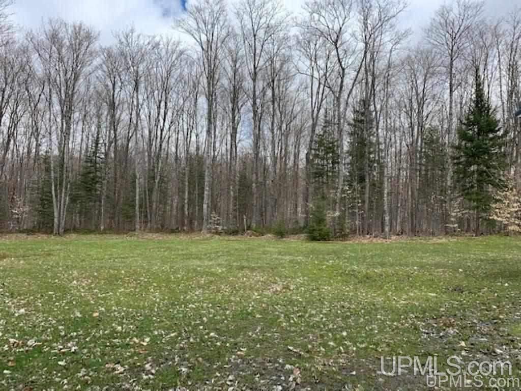 N7454 Rosemund Road Shingleton, MI 49884 - Photo 2 of 7
