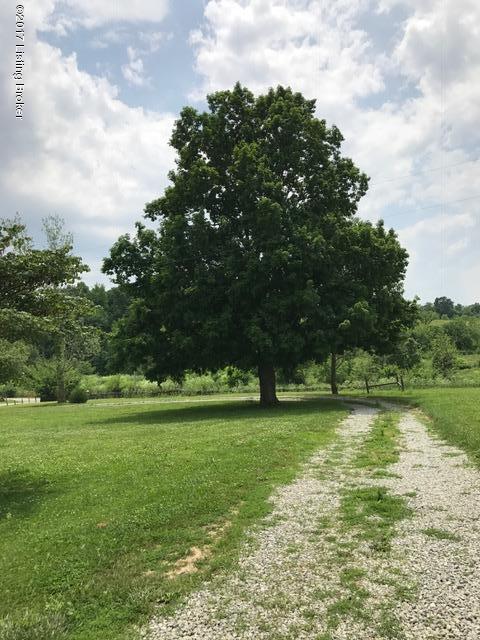 7661 Plum Run Road Bloomfield, KY 40008 - Photo 38 of 41 Driveway