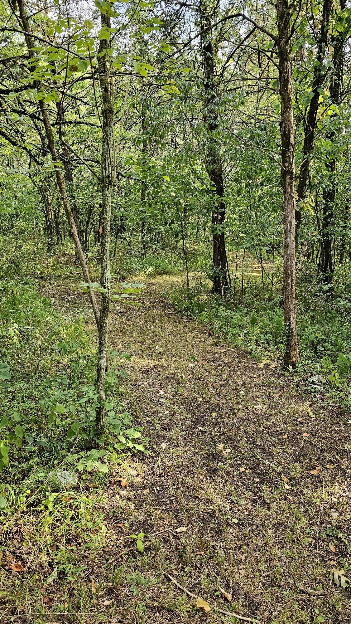 345 Lock 5 Road Lebanon, TN 37087 - Photo 44 of 50 Property has cleared and wooded areas. Here is a photo of the trail cut through the woods.