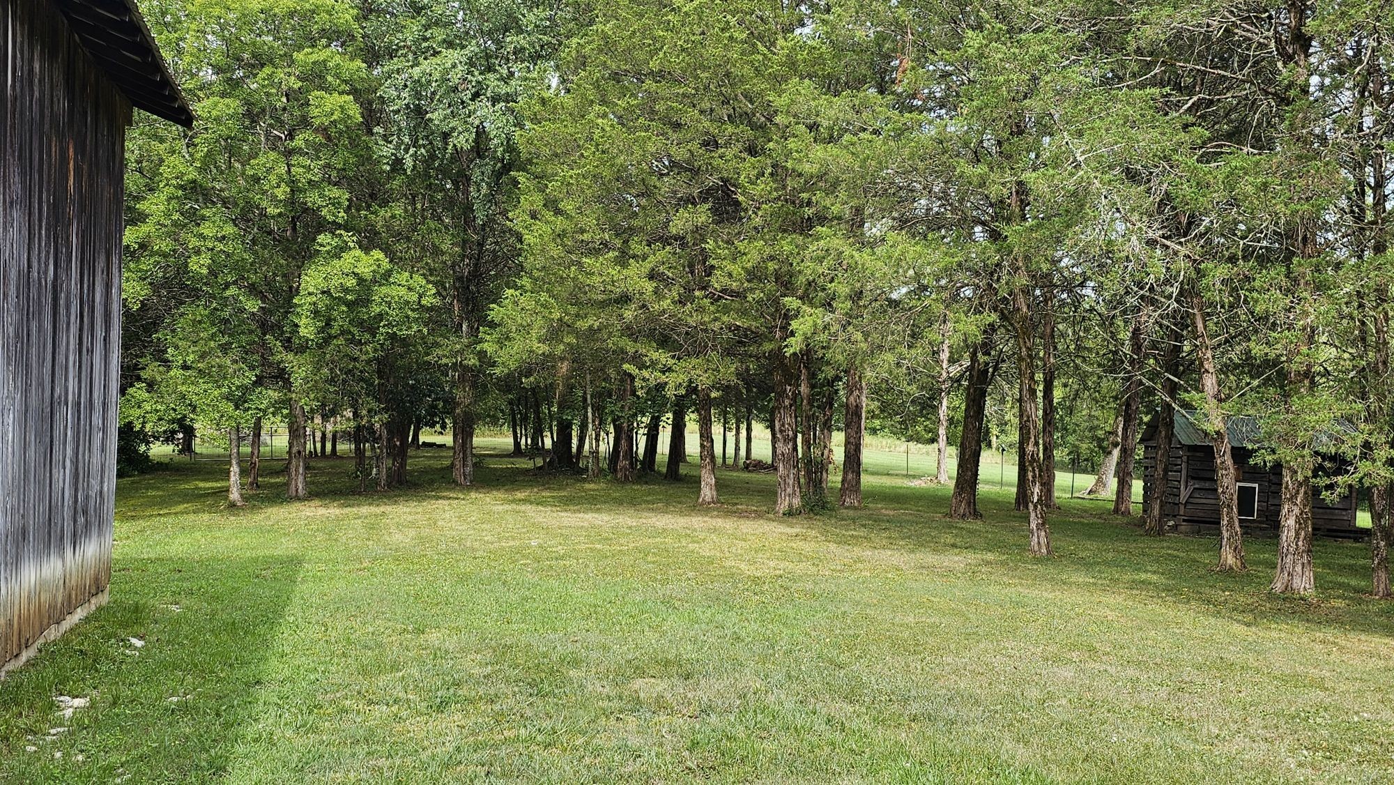 345 Lock 5 Road Lebanon, TN 37087 - Photo 48 of 50 Cleared area around the barn. Fenced area includes the small building.