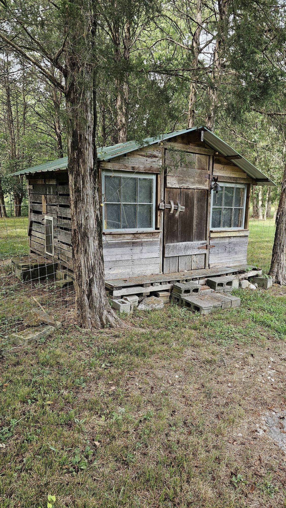 345 Lock 5 Road Lebanon, TN 37087 - Photo 49 of 50 Small building with metal roof and windows. Previously used as a chicken house.