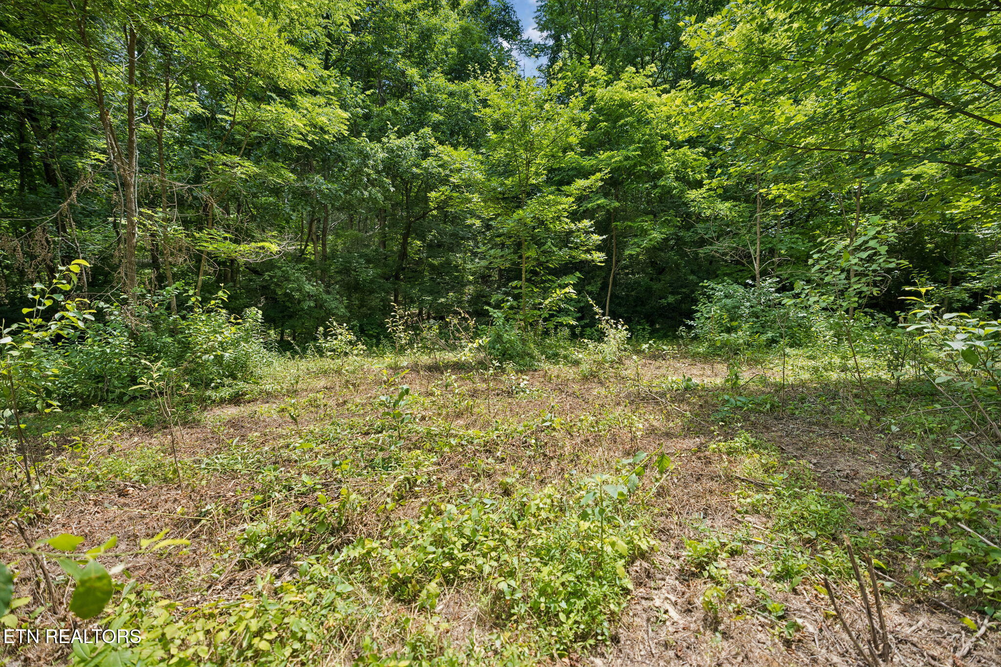 Knob Road Rutledge, TN 37861 - Photo 11 of 46 4-344 Knob Rd - 004