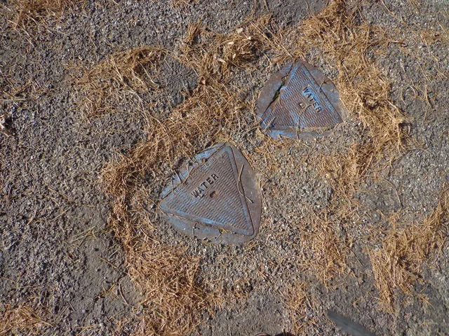 a view of a refrigerator in a forest