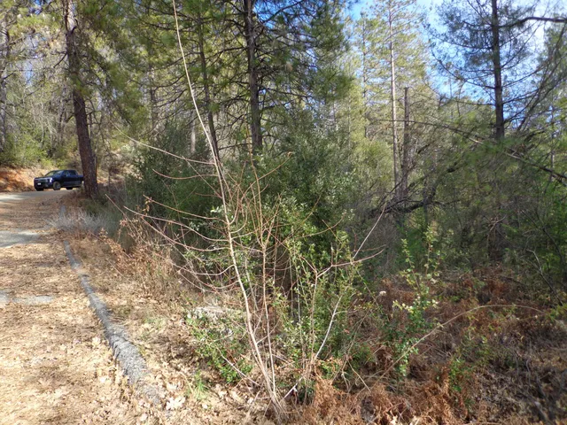 $59,995 | 5 Lots Off Statton Road, Lakehead, CA 96051