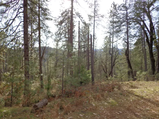 a view of a wooden fence