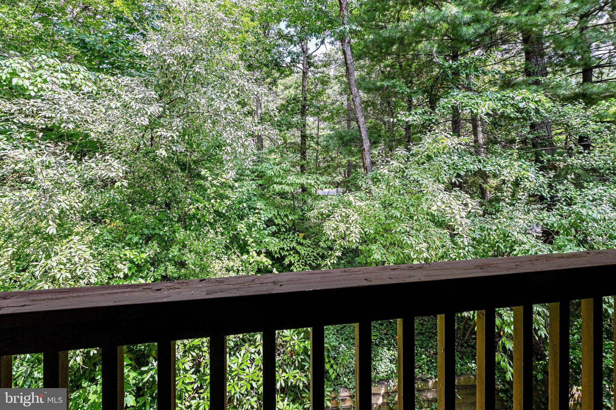 1944 Winterport Cluster Reston, VA 20191 - Photo 26 of 28 View from Primary Bedroom balcony