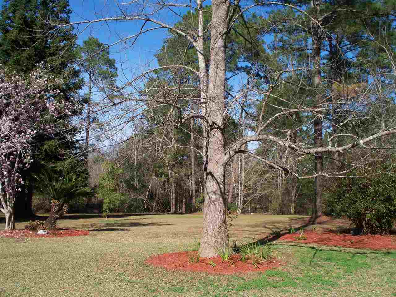 3660 Almanac Road Tallahassee, FL 32309 - Photo 16 of 23 Gallery Image 16