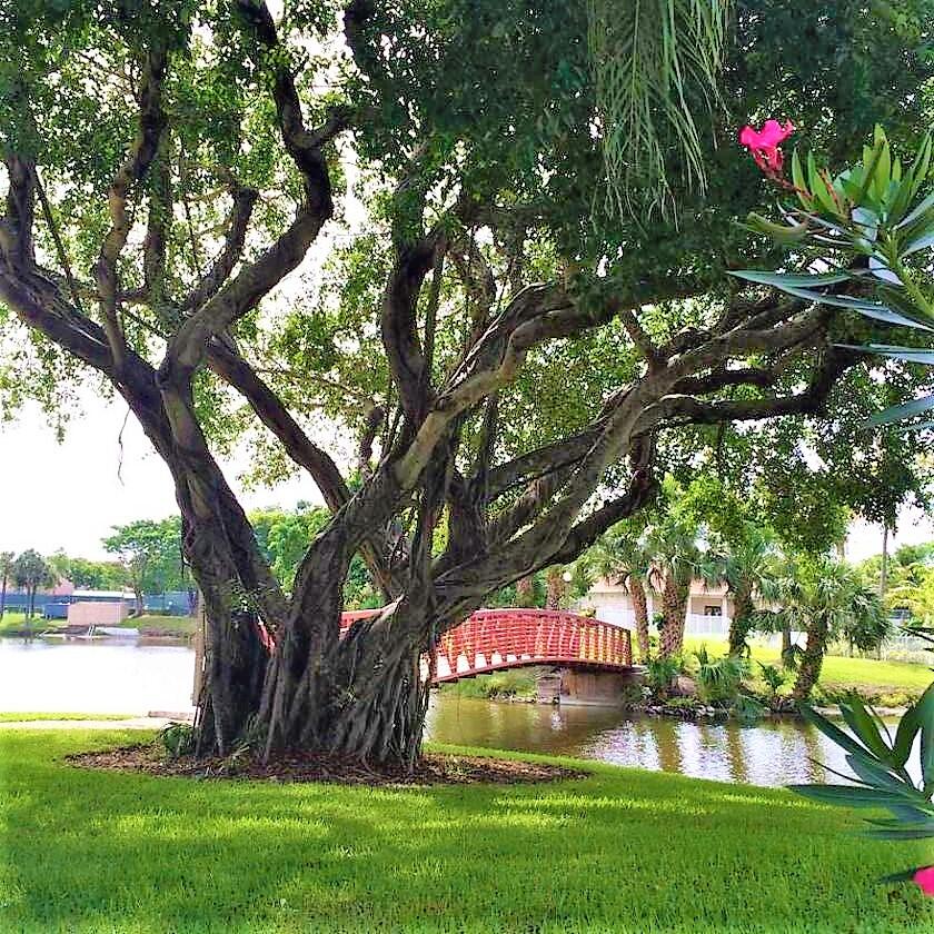 755 Dotterel Road, Unit 1209 Delray Beach, FL 33444 - Photo 26 of 28 Community