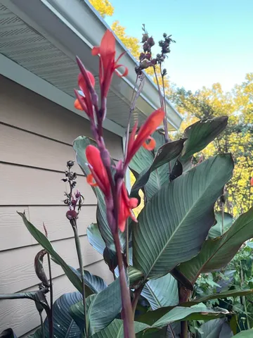 $285,000 | 159 Spring Court, Lincolnton, GA 30817