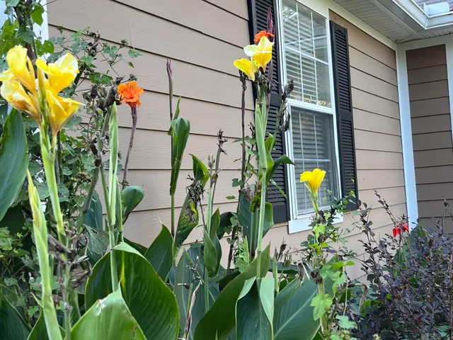 $285,000 | 159 Spring Court, Lincolnton, GA 30817