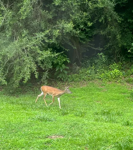 $285,000 | 159 Spring Court, Lincolnton, GA 30817