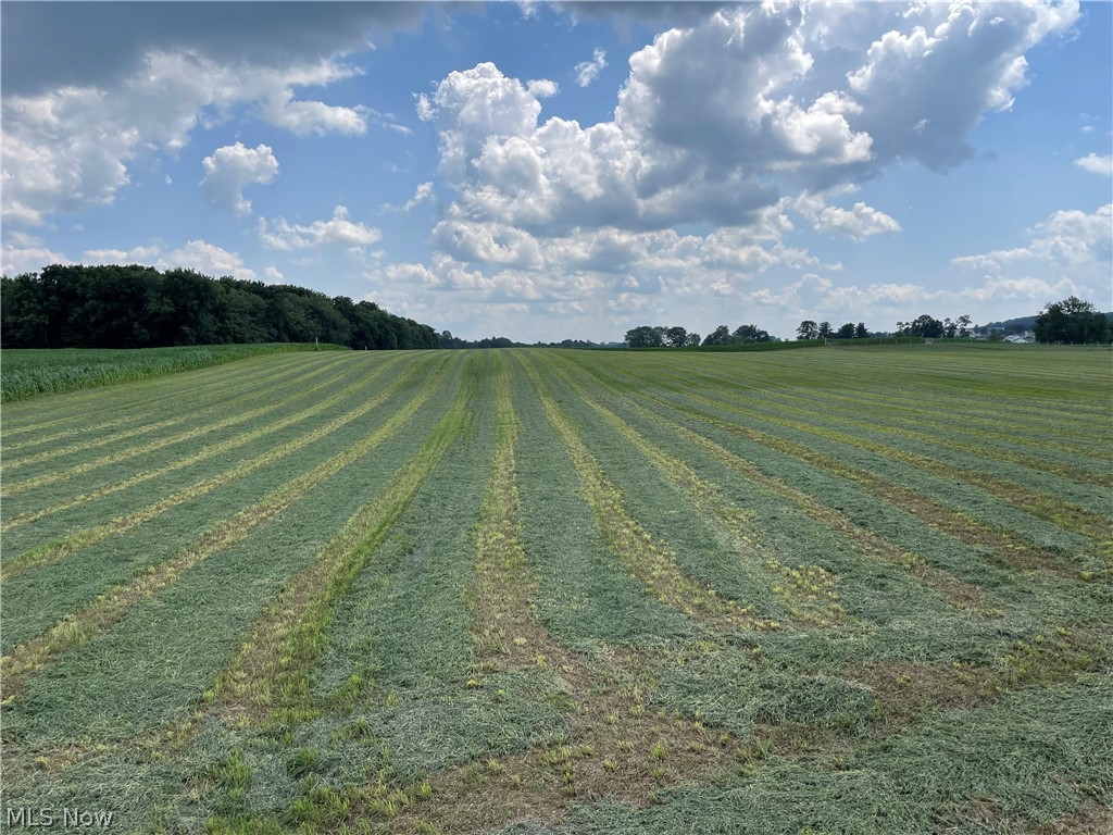 East Messner Road Apple Creek, OH 44606 - Photo 11 of 17