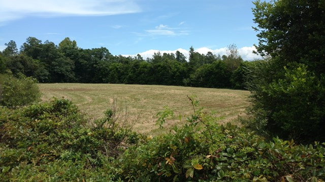 1.22-ac Dunbarton Road Williston, SC 29853 - Photo 1 of 2