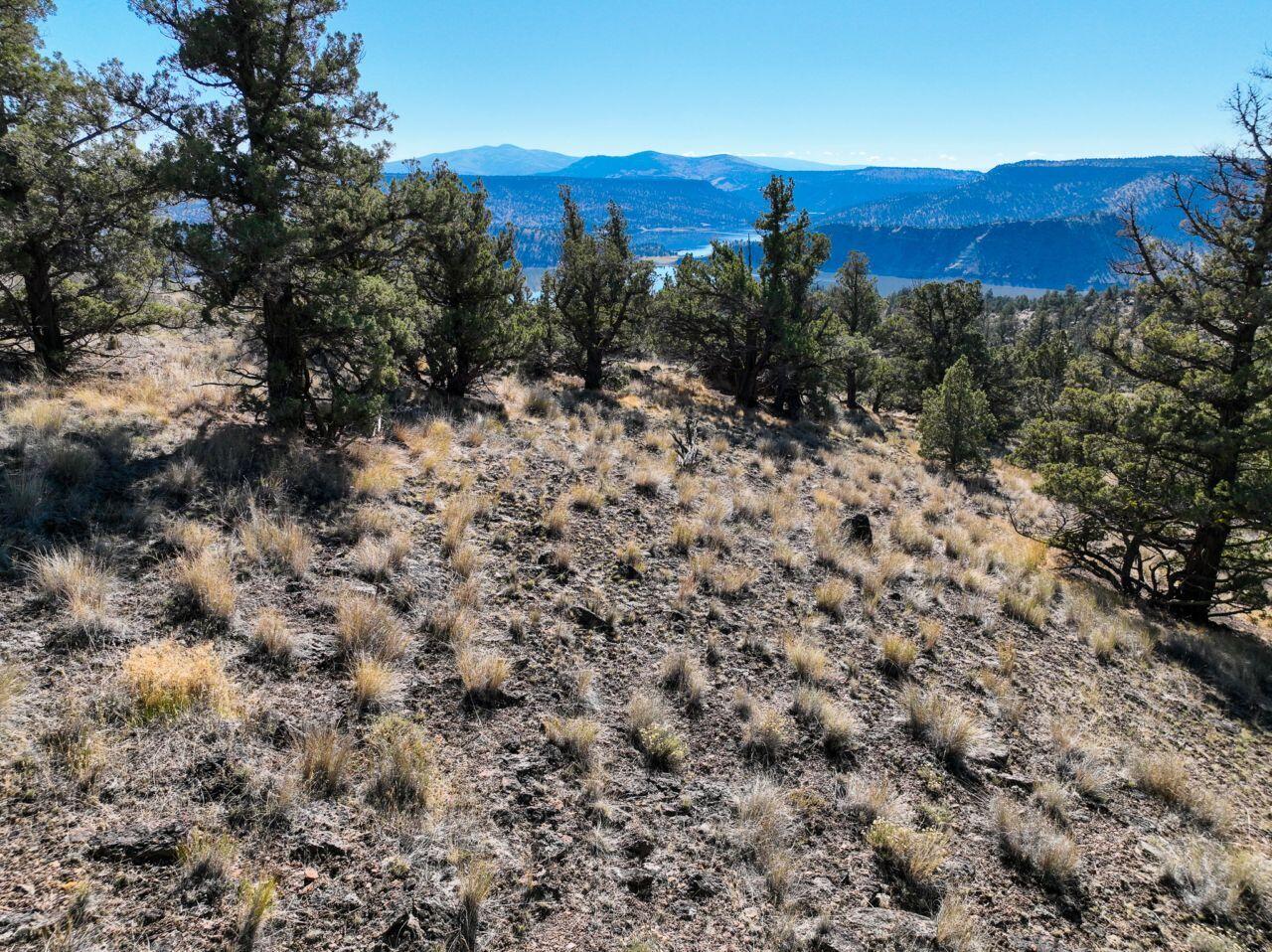 10081 Pavati Road, Unit LOT 35 Prineville, OR 97754 - Photo 21 of 23 photos_web_resolution_DJI_0988