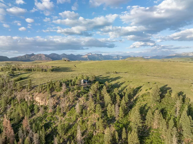 a front view of a house with a garden and tree
