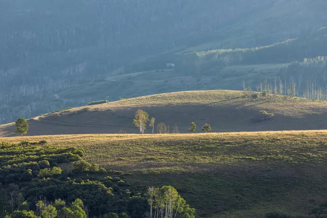 $2,850,000 | 145 West Anderson Road, Placerville, CO 81430