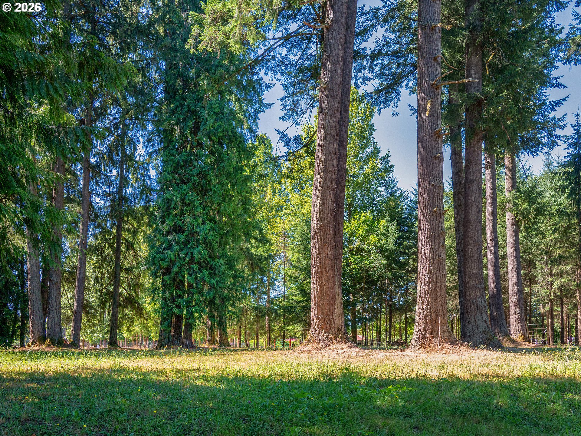 34281 Millard Road Warren, OR 97053 - Photo 41 of 48 Gallery Image 41