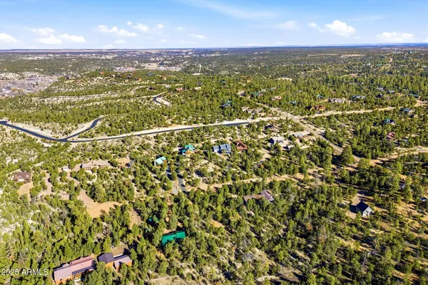 a view of a city with lush green forest