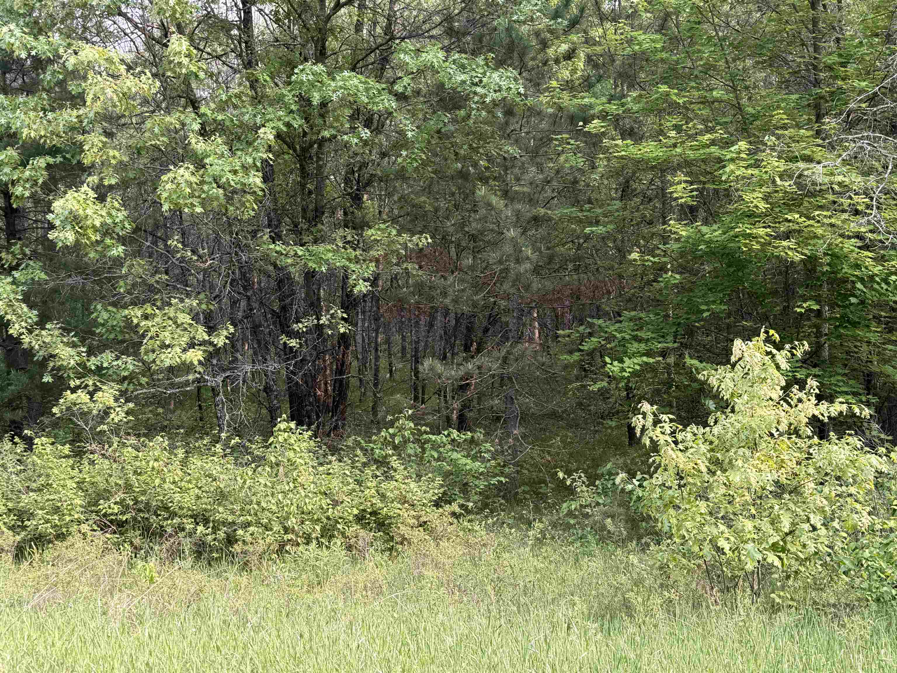W1926 Great Bear Road Keshena, WI 54135 - Photo 1 of 5