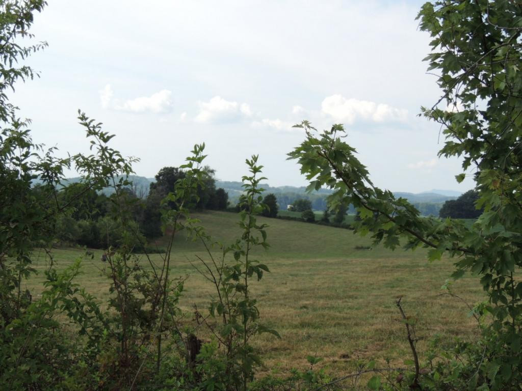Lot 3 Barren Valley Road, Unit 6 Chuckey, TN 37641 - Photo 5 of 8 Rear View