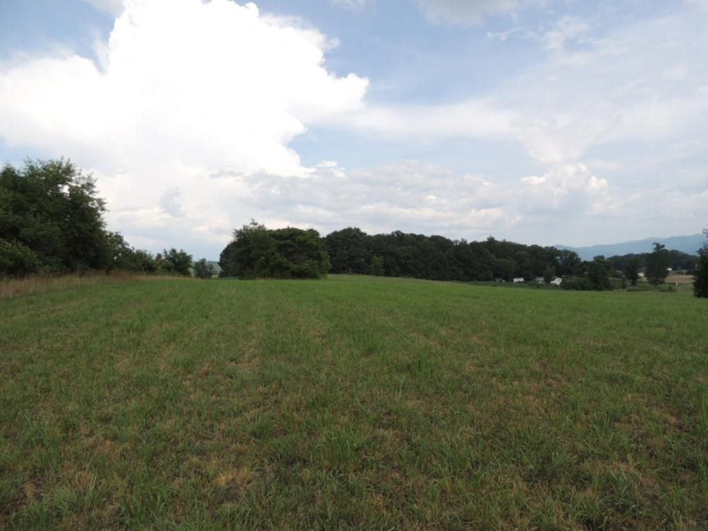 Lot 3 Barren Valley Road, Unit 6 Chuckey, TN 37641 - Photo 6 of 8 Photo 6