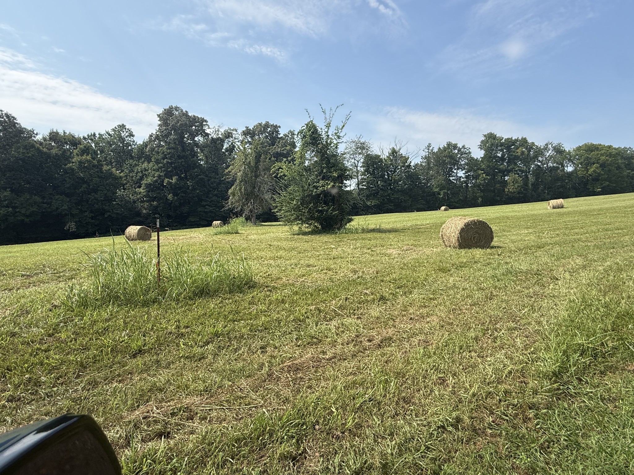 0 Sherman Road Charlotte, TN 37036 - Photo 6 of 8 Gallery Image 6
