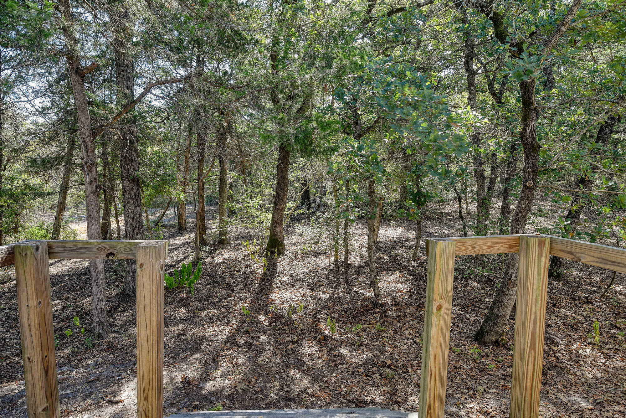 181 Lockwood Road Red Rock, TX 78662 - Photo 27 of 32
