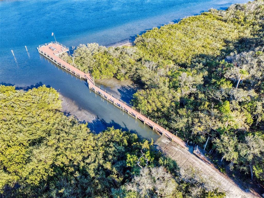 705 Starboard Avenue Edgewater, FL 32141 - Photo 45 of 52 a view of a garden with plants