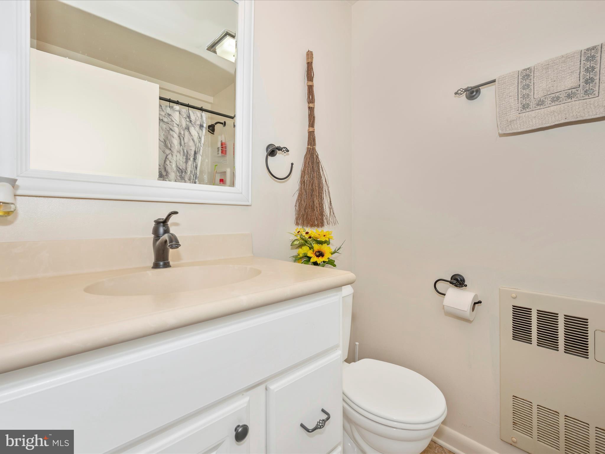 6423 Bikle Road Fayetteville, PA 17222 - Photo 27 of 56 a bathroom with a sink a toilet and a mirror