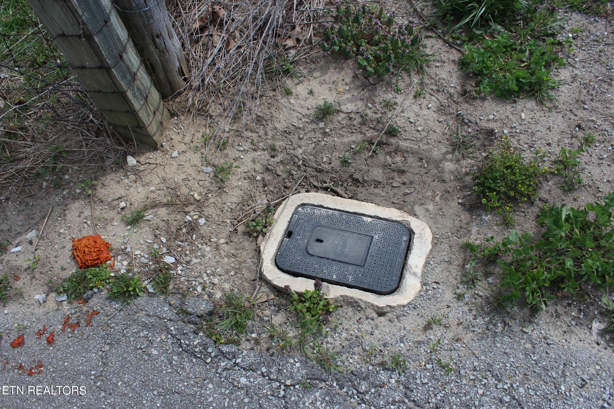 Alf Threet Road Jamestown, TN 38556 - Photo 4 of 16 IMG_5374