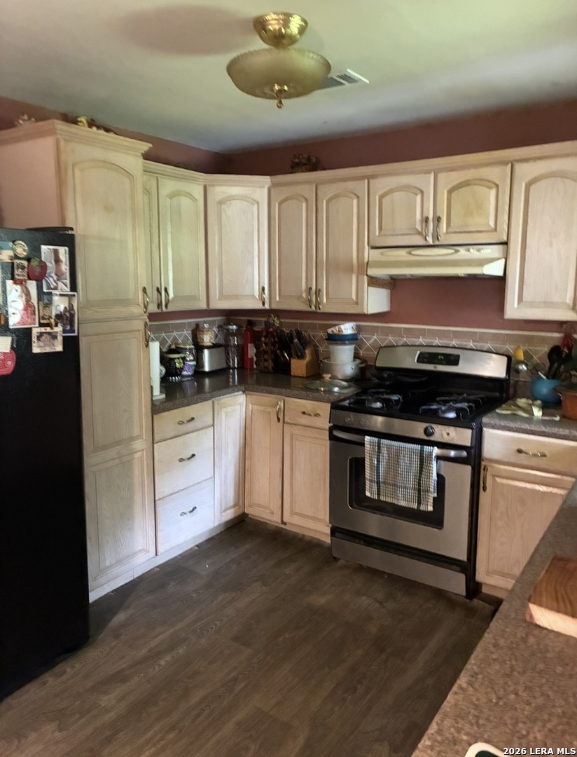 323 East White Street Dilley, TX 78017 - Photo 8 of 12