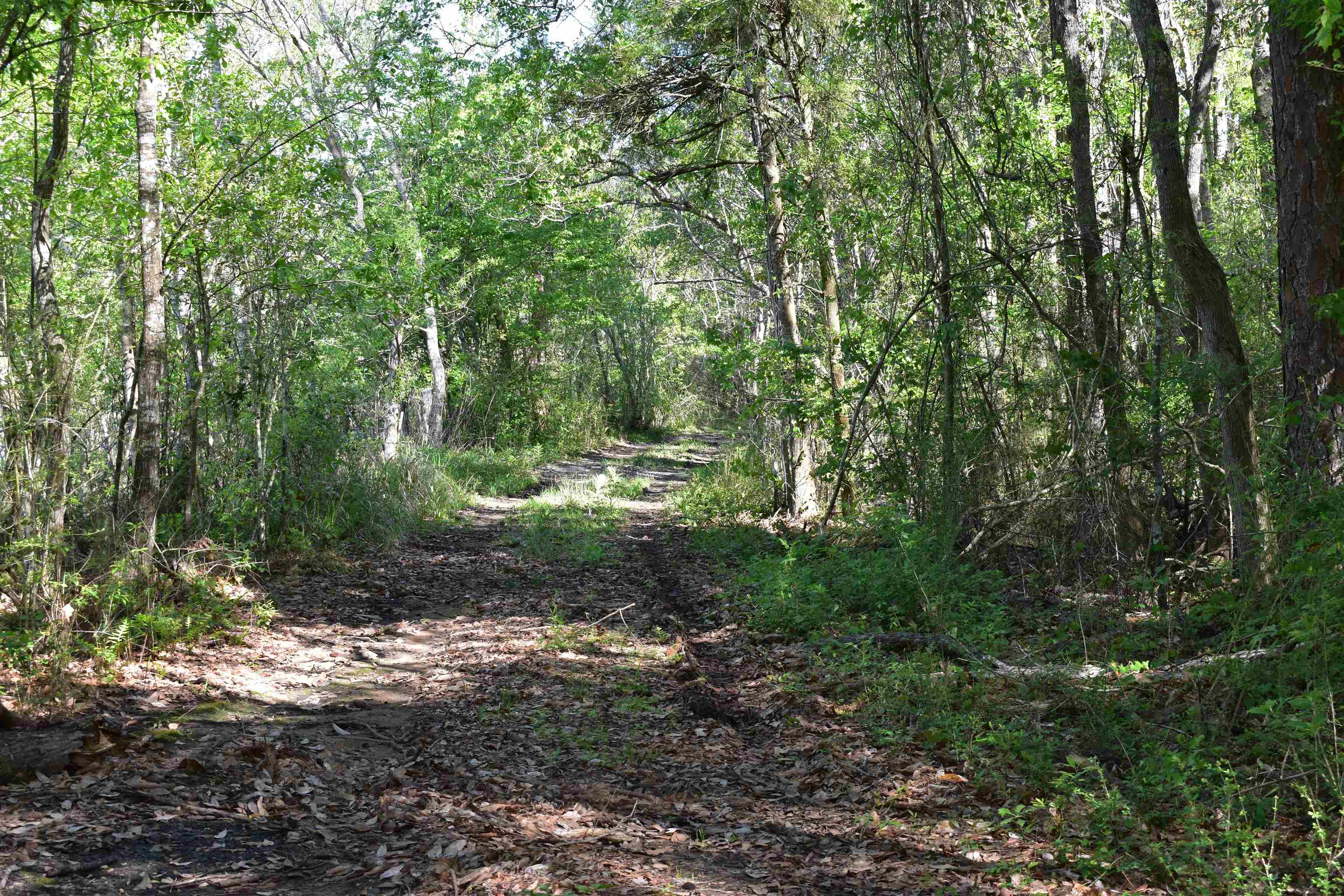 24171 Woerner Road Elberta, AL 36530 - Photo 9 of 15
