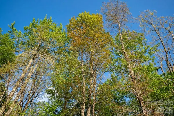 $49,000 | Lot 27 Eastatoe Gap Road, Unit 27, Rosman, NC 28772