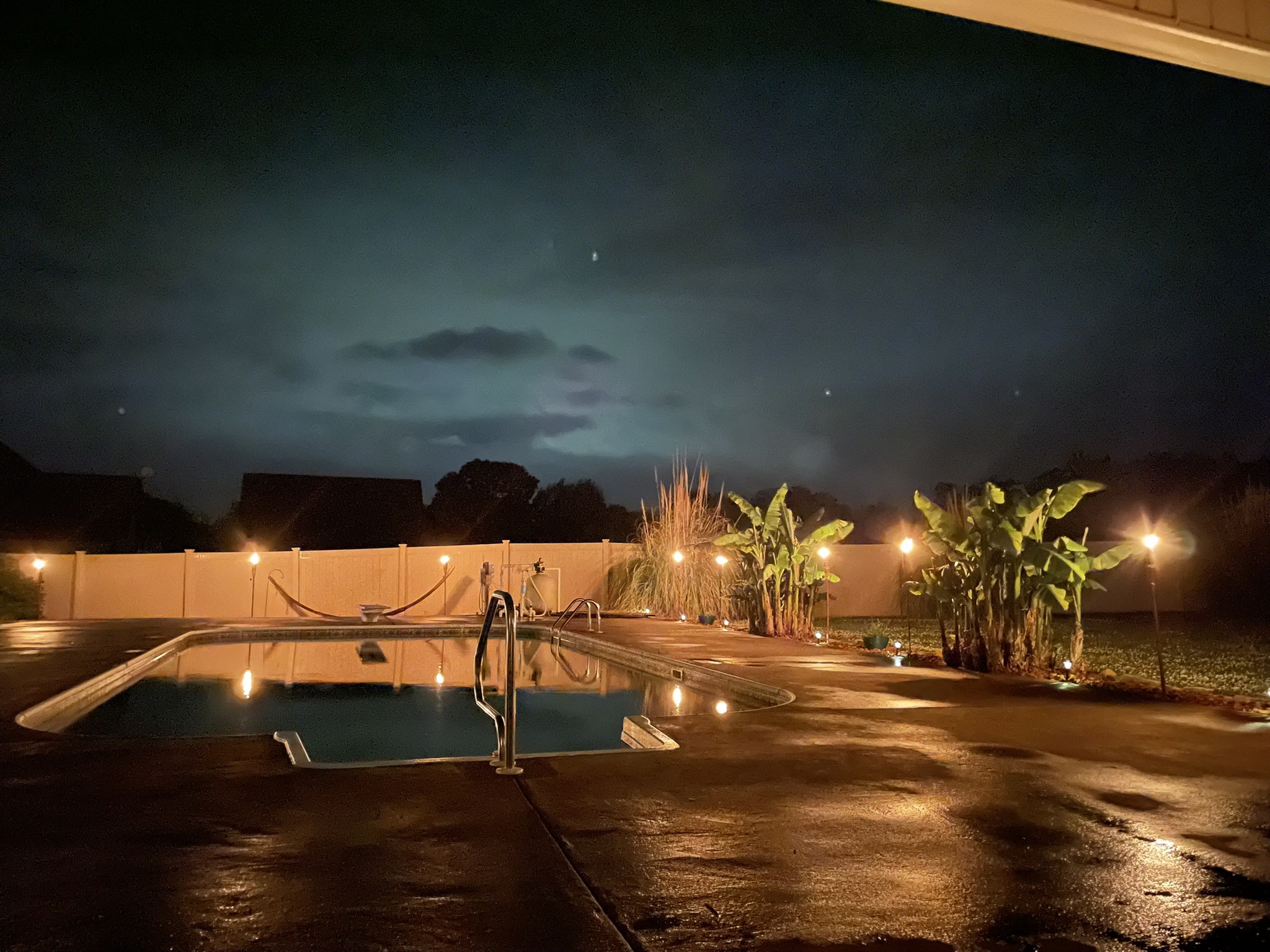 402 Vista Shores Road Rogersville, AL 35652 - Photo 35 of 55 a view of a yard