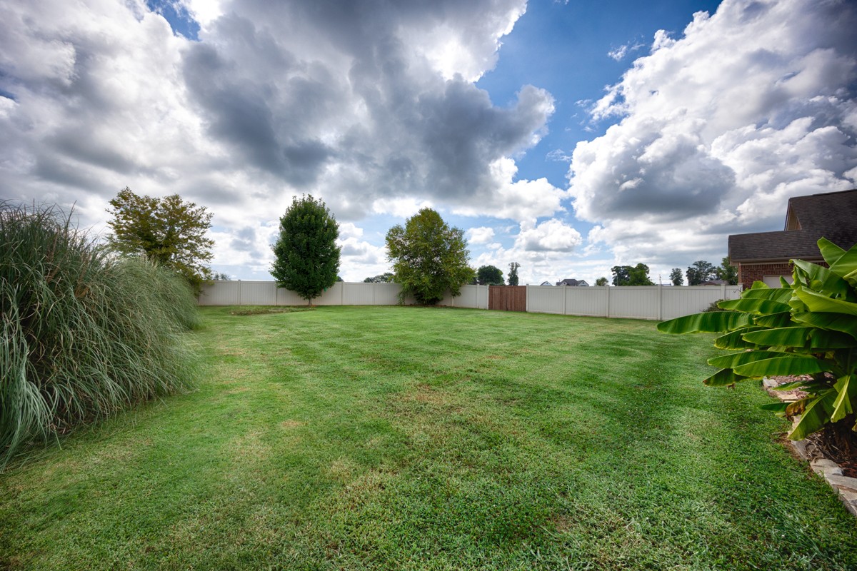 402 Vista Shores Road Rogersville, AL 35652 - Photo 43 of 55 a view of a big yard with a tree in the background